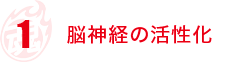 脳神経の活性化